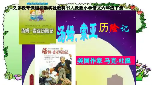 17课《汤姆 索亚历险记》ppt