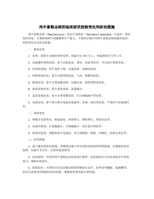 肉牛泰勒虫病的临床症状剖检变化和防治措施