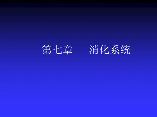 人体解剖生理学第七章消化系统PPT课件