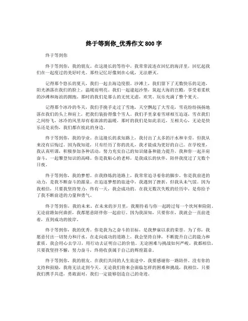 终于等到你_优秀作文800字