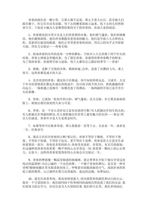 致青春经典语录50句