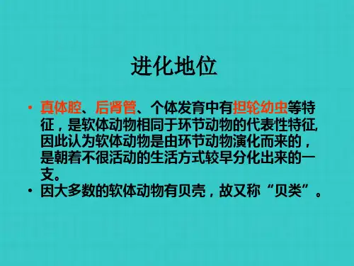 七级生物上册《第四章 第四节 软体动物》课件