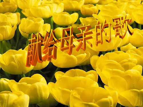 中考作文训练献给母亲的歌(公开课PPT39页)