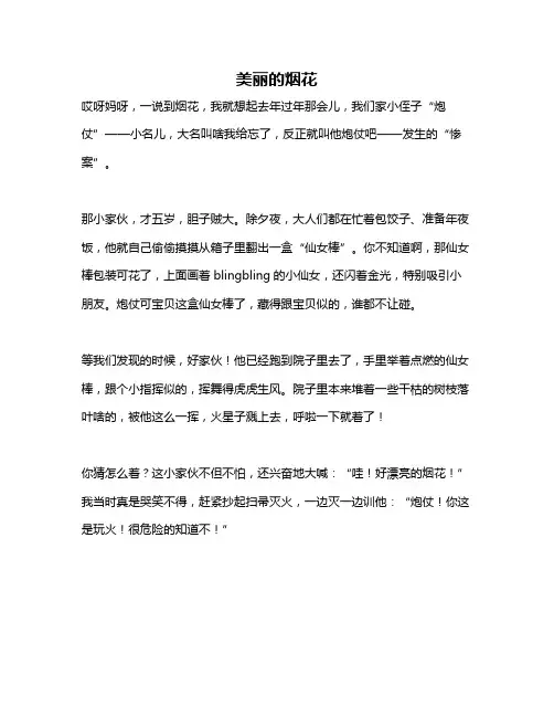 作文《美丽的烟花》