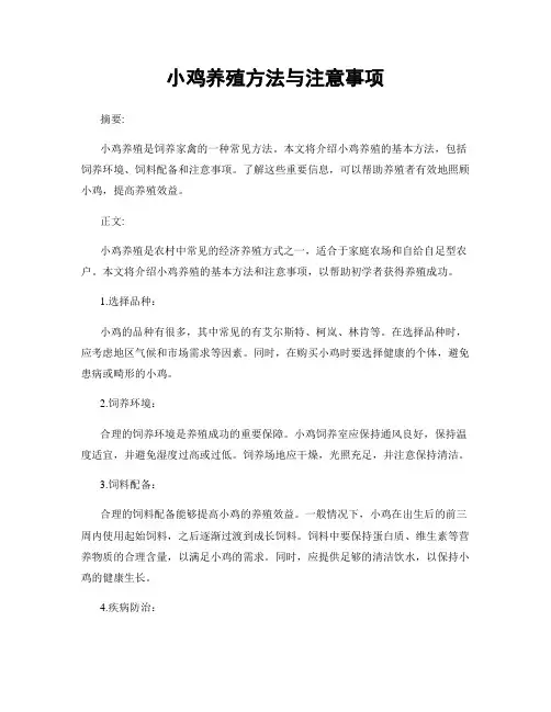 小鸡养殖方法与注意事项