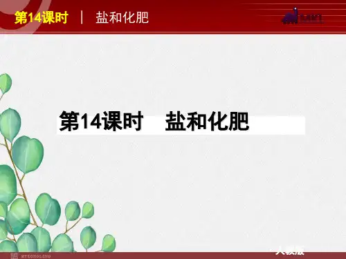《盐和化肥(ppt)》课件 2022年人教版省一等奖PPT