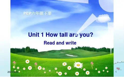 人教PEP六年级下册英语课件unit 1 How tall are you Part B Read 