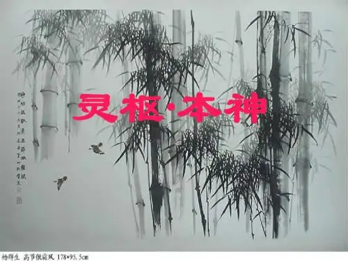 灵枢·本神紫罗兰