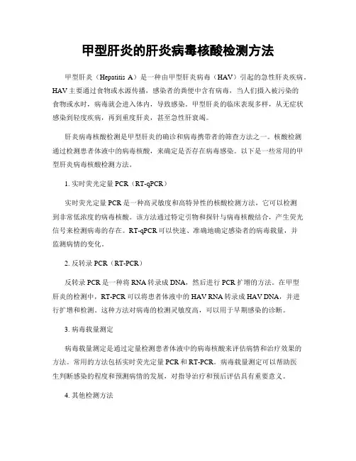 甲型肝炎的肝炎病毒核酸检测方法