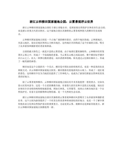 浙江云和梯田国家湿地公园：云雾景观浮云世界