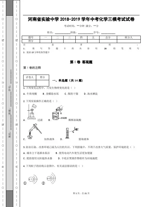 河南省实验中学2018-2019学年中考化学三模考试试卷(含答案解析)