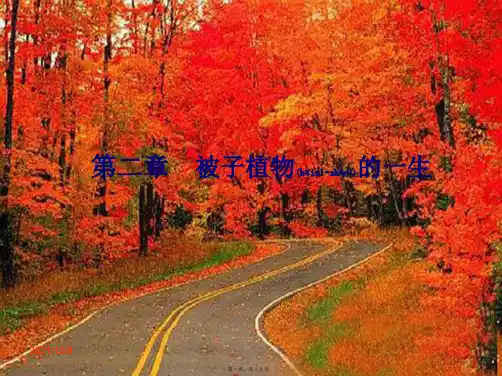 中考生物 第三单元 第二章 被子植物的一生复习课件