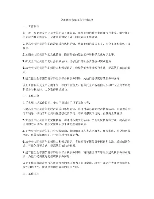 全市团员青年工作计划范文