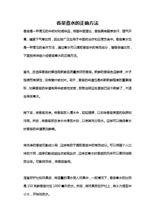 香菜煮水的正确方法