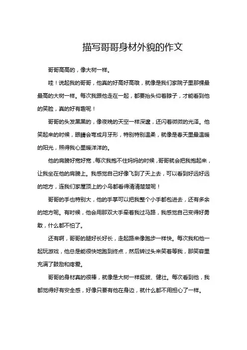 描写哥哥身材外貌的作文