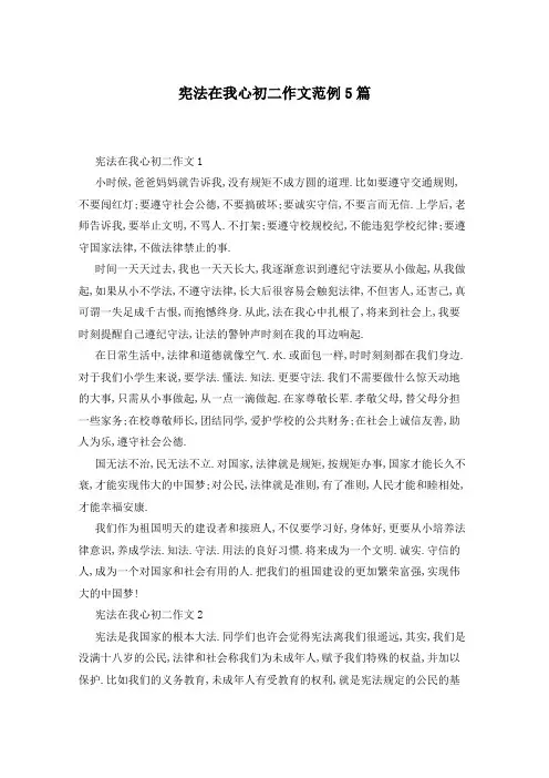 宪法在我心初二作文范例5篇