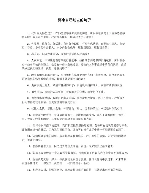 怀念自己过去的句子