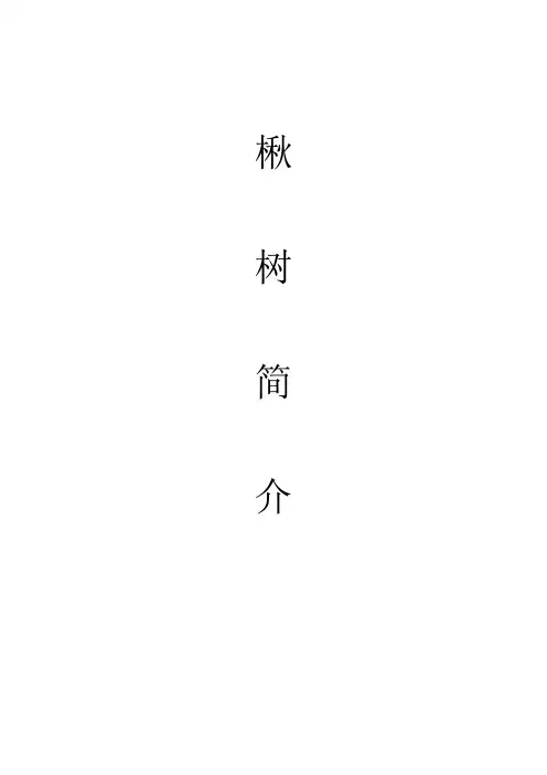 楸树简介