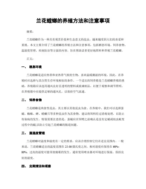 兰花螳螂的养殖方法和注意事项