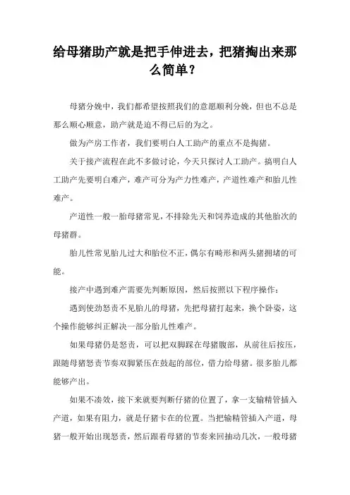 给母猪助产就是把手伸进去，把猪掏出来那么？