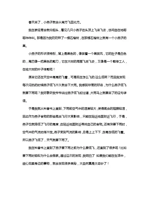 春天燕子飞的作文