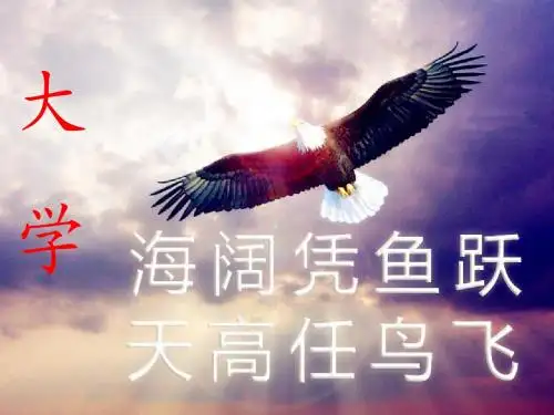 大学介绍(分专业)