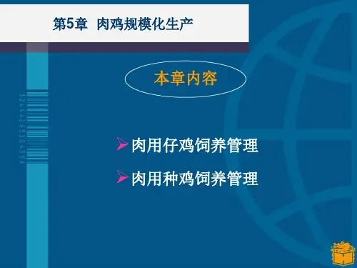 精选肉鸡规模化生产培训课件