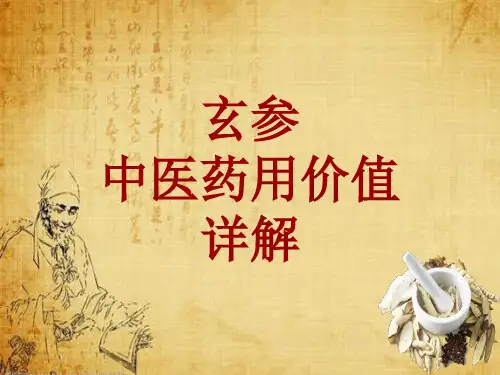 中药学_玄参_药材详解课件模板