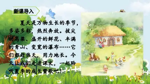 新版六年级语文上册课件-15 夏天里的成长人教(部编版) (共42张PPT)演示课件