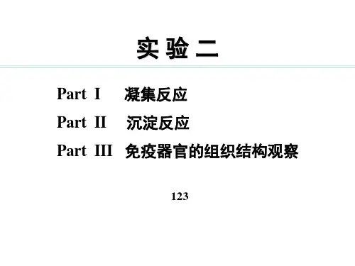 级本科实验2w凝集反应课件