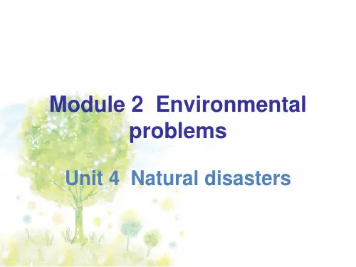 英语九年级下册同步课件    Unit 4 Natural disasters(共27张PPT)