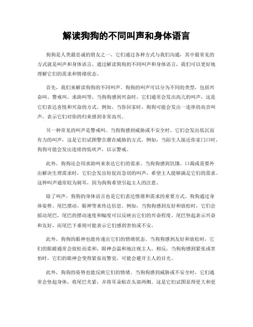 解读狗狗的不同叫声和身体语言