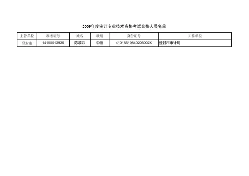 09审计合格人员名单xls