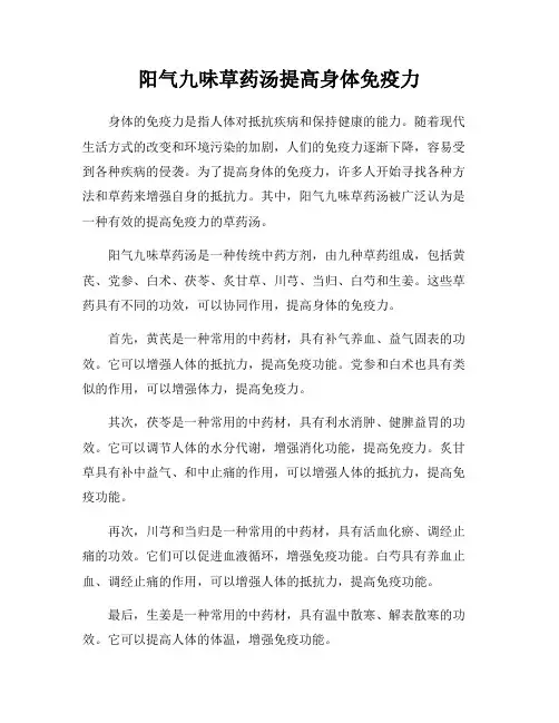 阳气九味草药汤提高身体免疫力