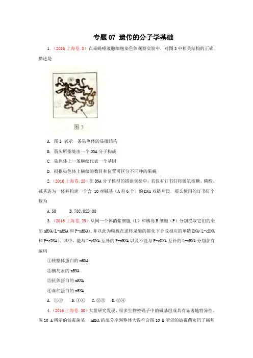 三年高考()生物试题分项版解析 专题07遗传的分子学基础原卷版 Word版缺答案