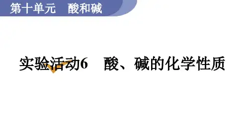 人教版九年级化学下册 10.3实验活动6  酸、碱的化学性质 课件(共12张PPT)