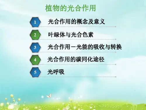 第3章  光合作用-孙立炜