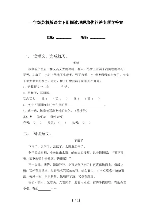 一年级苏教版语文下册阅读理解培优补差专项含答案