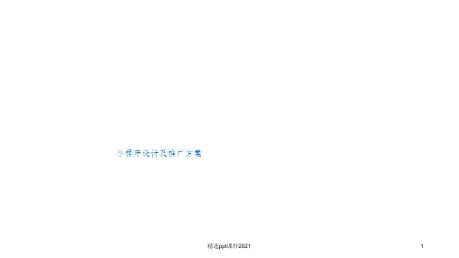 小程序运营及推广ppt课件
