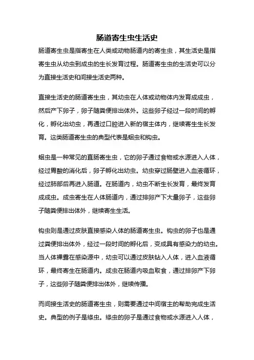 肠道寄生虫生活史