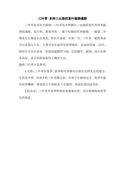 三叶草 多种三出指状复叶植物通称