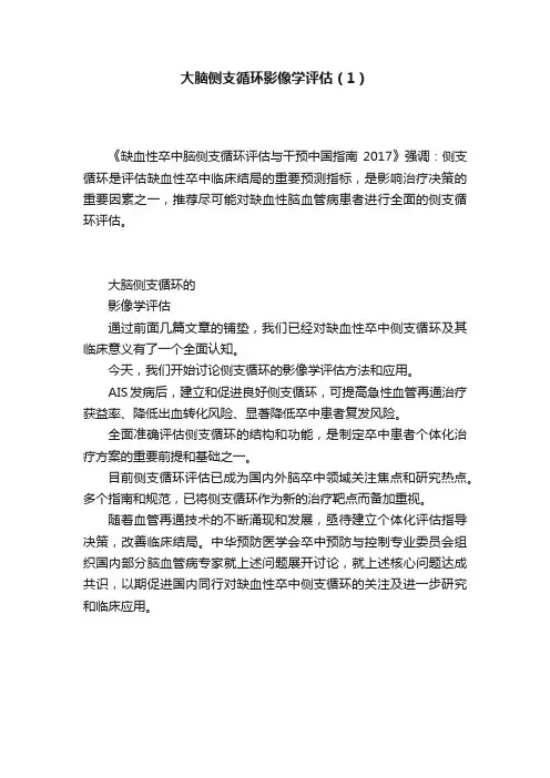 大脑侧支循环影像学评估（1）
