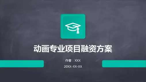动画专业项目融资方案