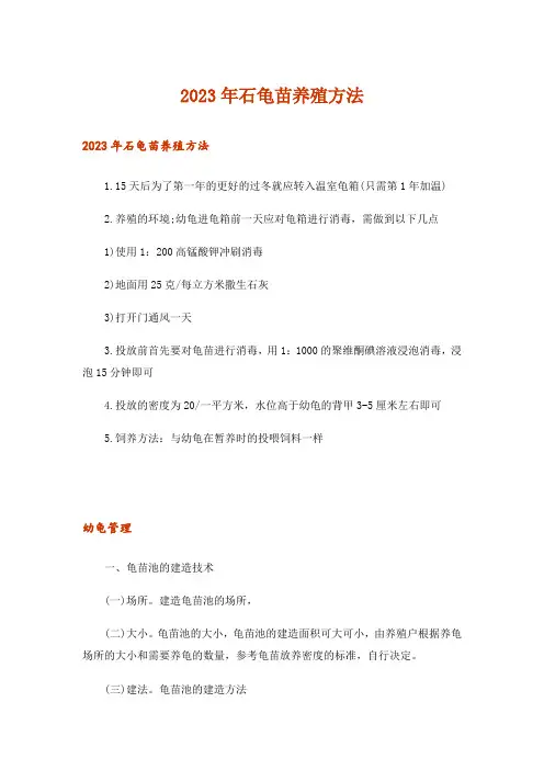 2023年石龟苗养殖方法