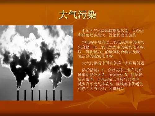 中国十大环境问题课件PPT