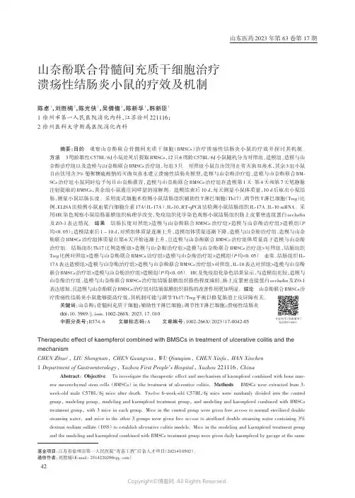 山奈酚联合骨髓间充质干细胞治疗溃疡性结肠炎小鼠的疗效及机制