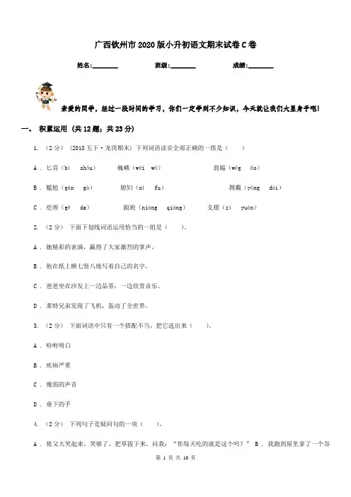 广西钦州市2020版小升初语文期末试卷C卷新版