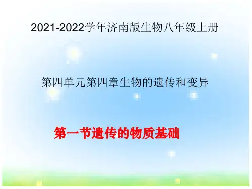 济南版教学课件_遗传的物质基础