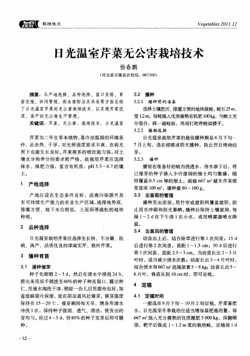 日光温室芹菜无公害栽培技术