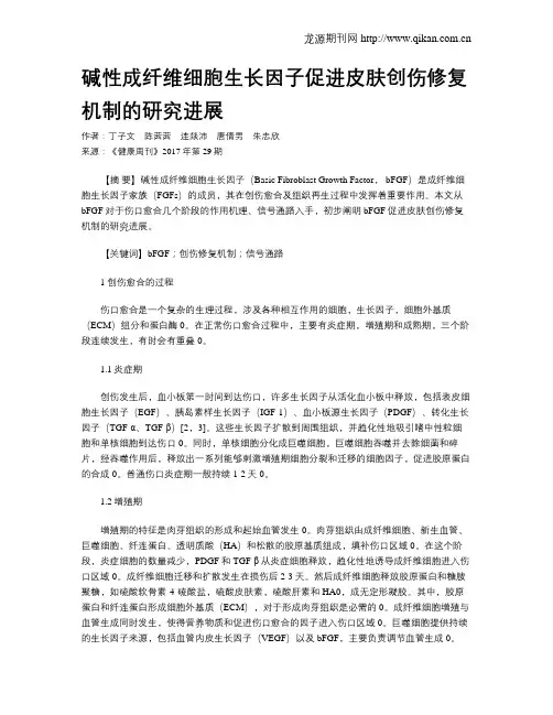碱性成纤维细胞生长因子促进皮肤创伤修复机制的研究进展